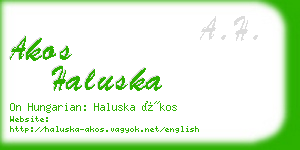 akos haluska business card